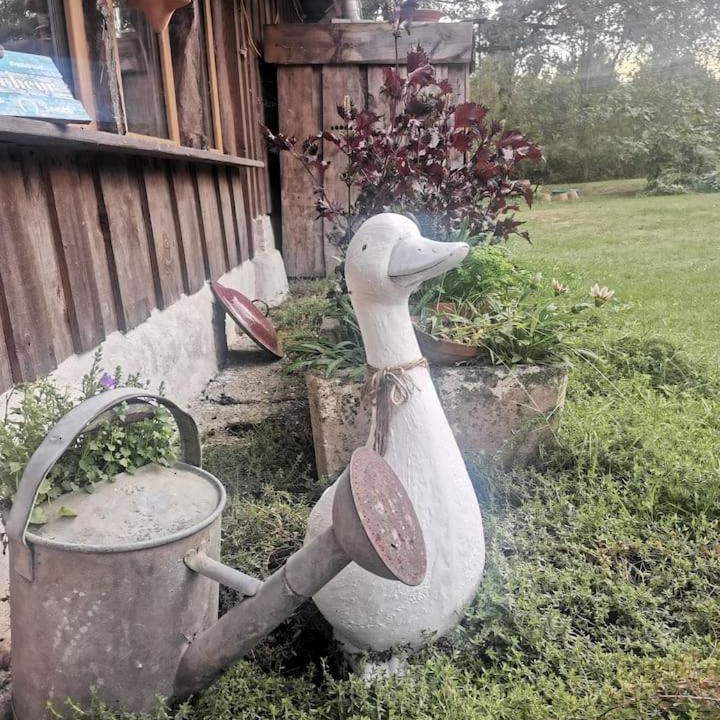 Photo of Others in Allons