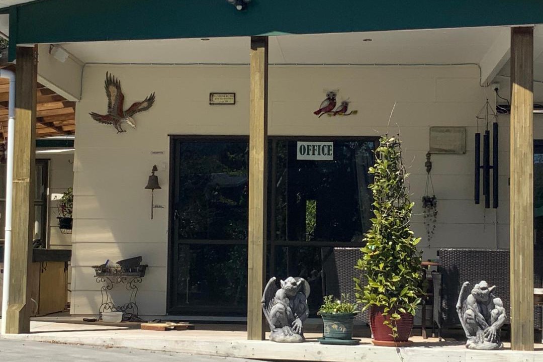 Photo of Others in Waihi