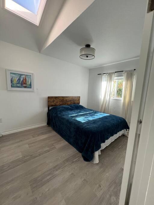 Photo of Others in Seabright