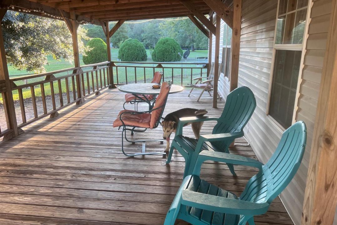 Photo of Others in Hemphill