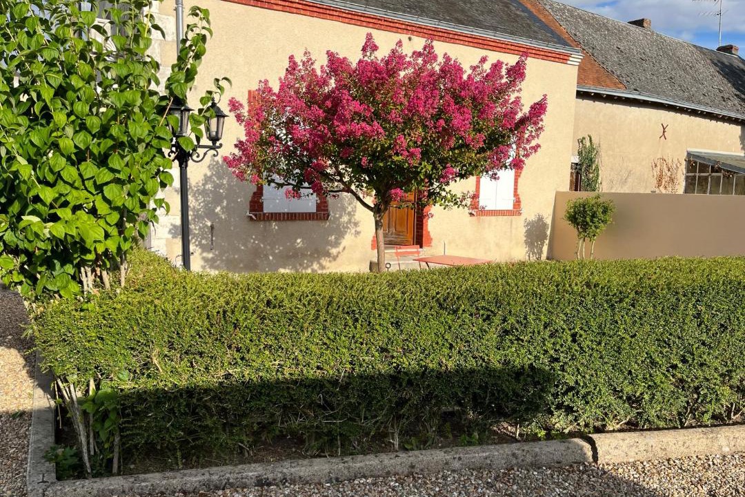 Photo of Buildings in Saint-Valentin