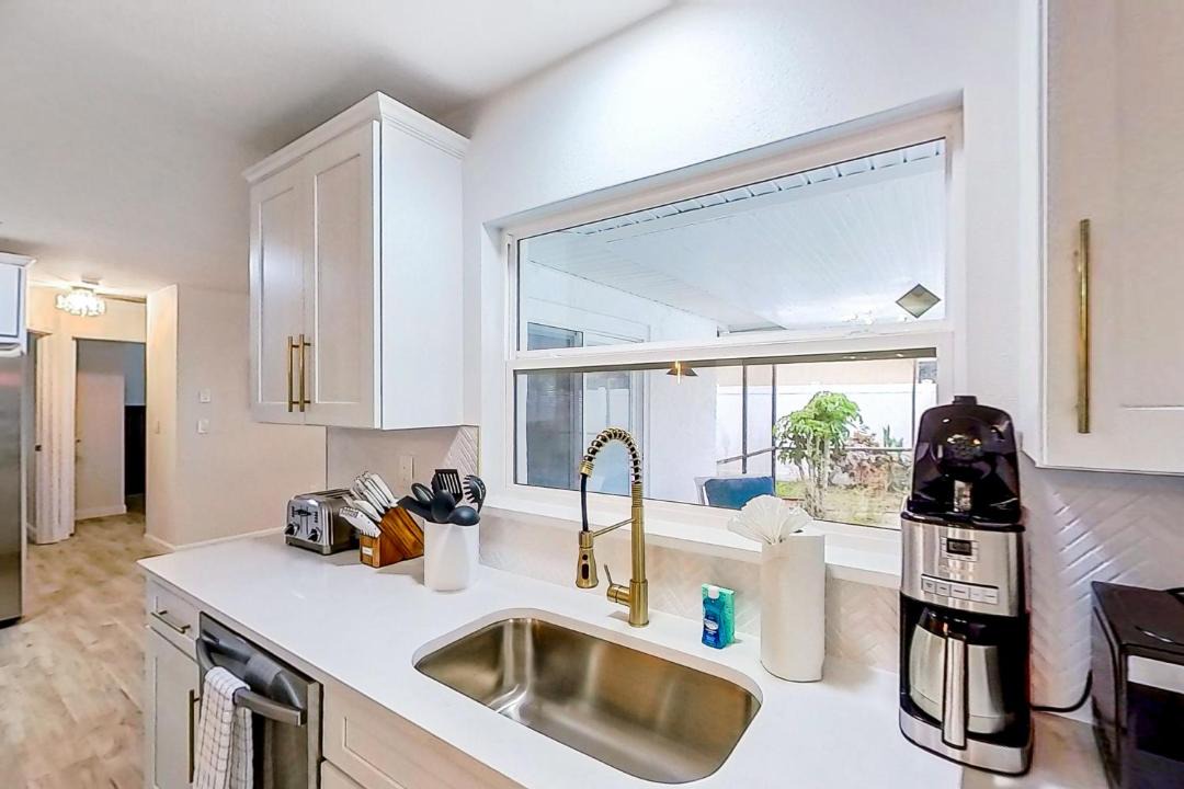 Photo of Others in Dunedin