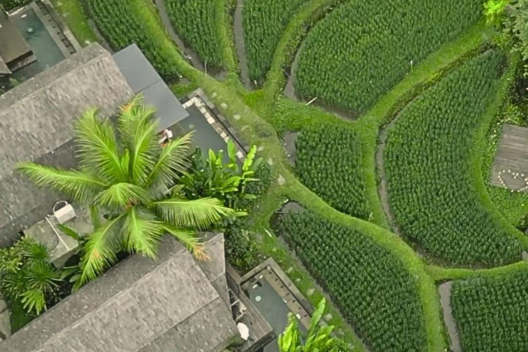 Photo of Others in Pengosekan