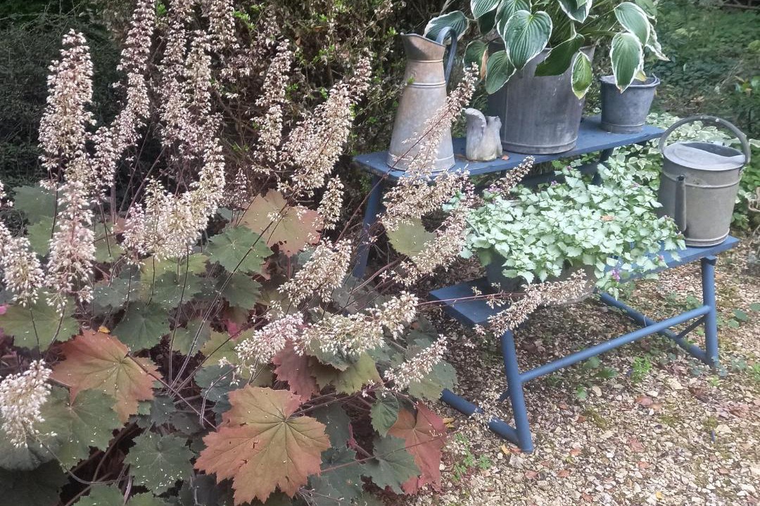 Photo of Others in Watronville