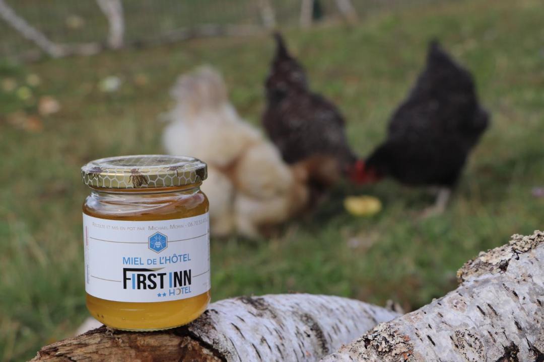 Photo of Others in Blois