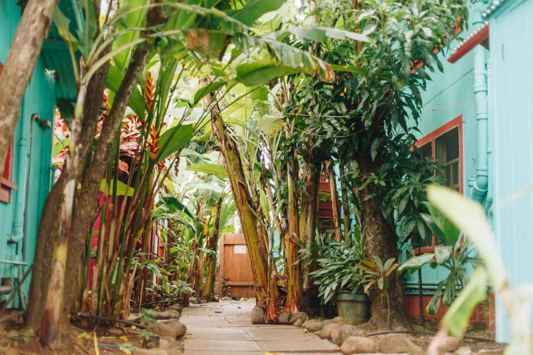 Photo of Others in Wailuku