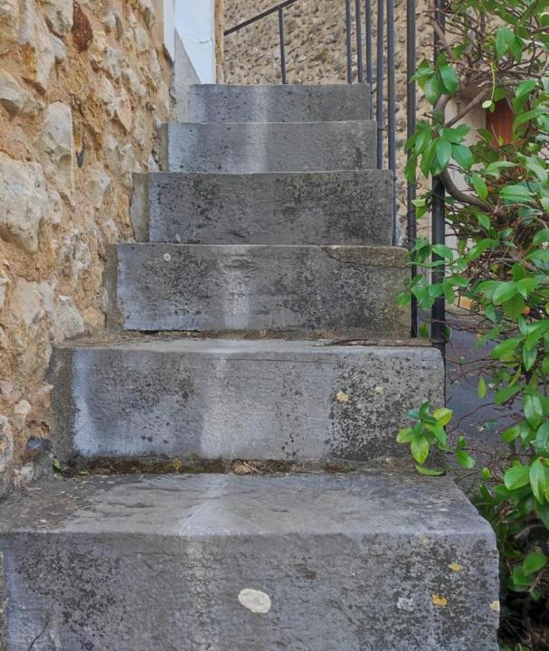 Photo of Others in Avoise