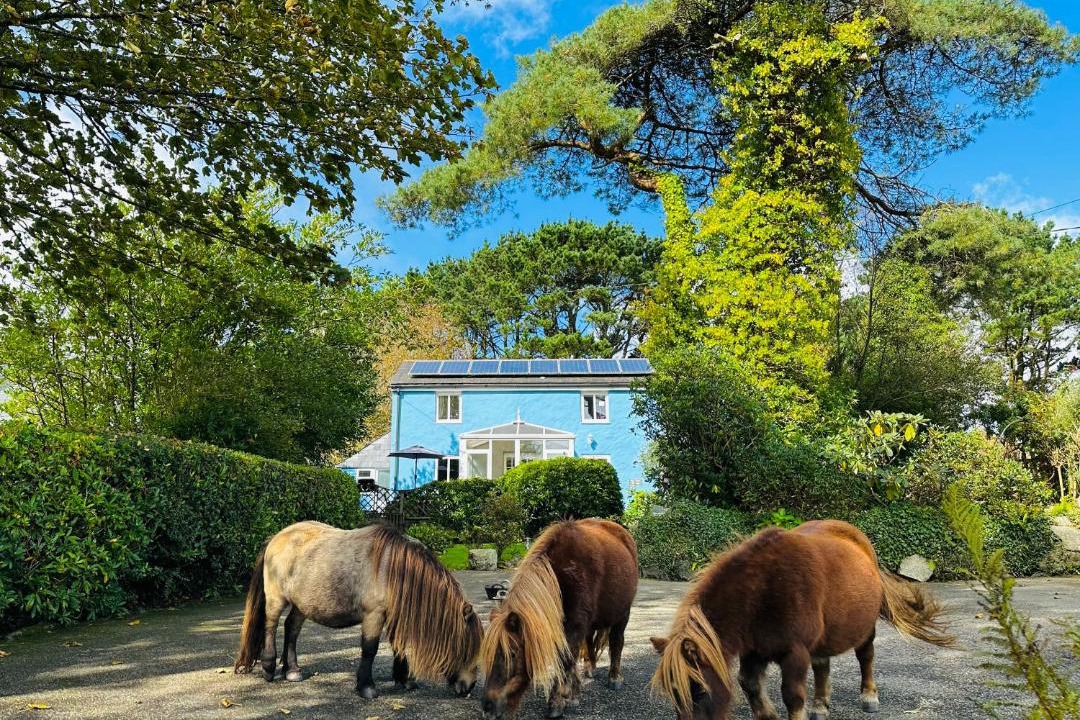 Photo of Others in Boscundle