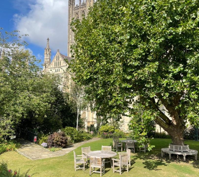 Photo of Others in Canterbury