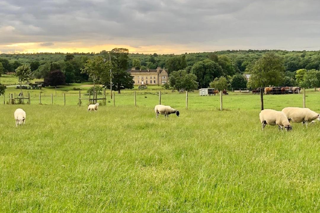 Photo of Others in Castle Bytham