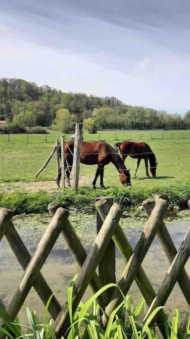 Photo of Others in Le Bec-Hellouin