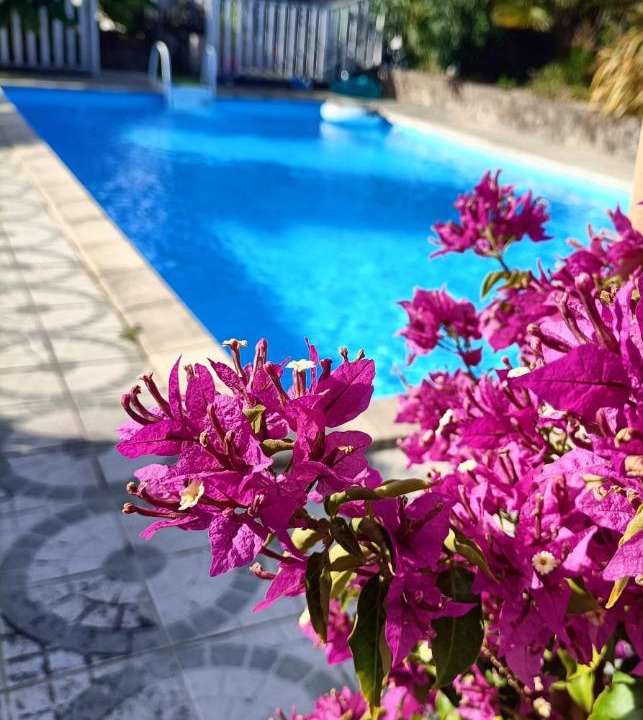 Photo of Others in Mortagne-sur-Sevre