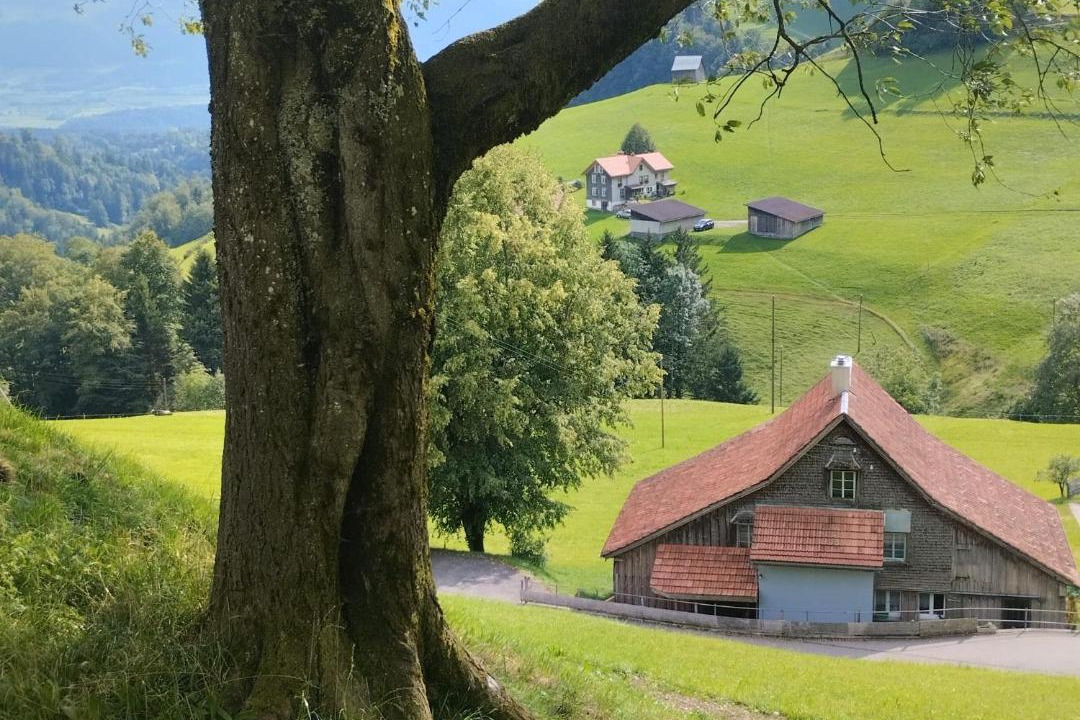 Photo of Others in Eschenbach