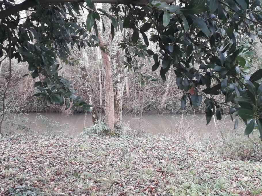 Photo of Buildings in Mezieres-en-Brenne
