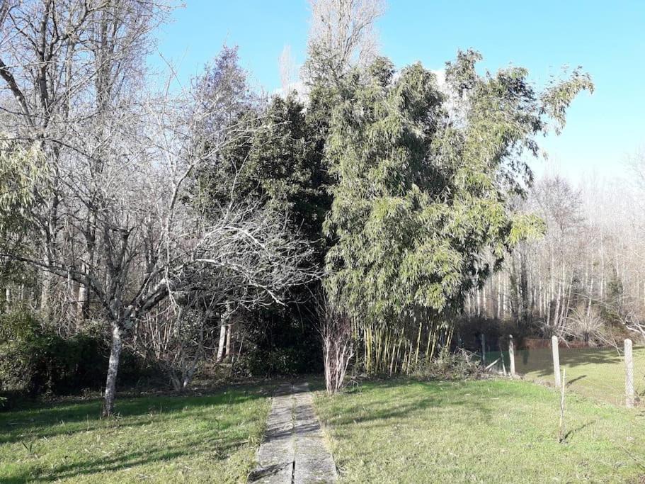 Photo of Others in Mezieres-en-Brenne