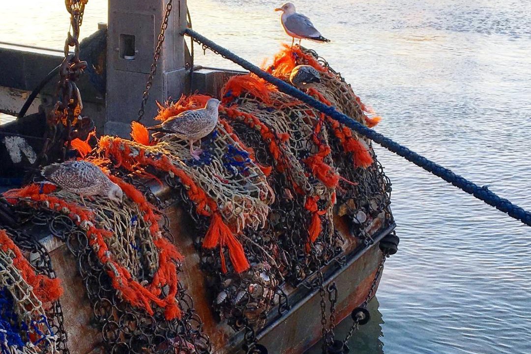 Photo of Others in Trouville-sur-Mer