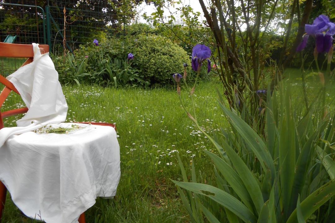 Photo of Others in Amfroipret