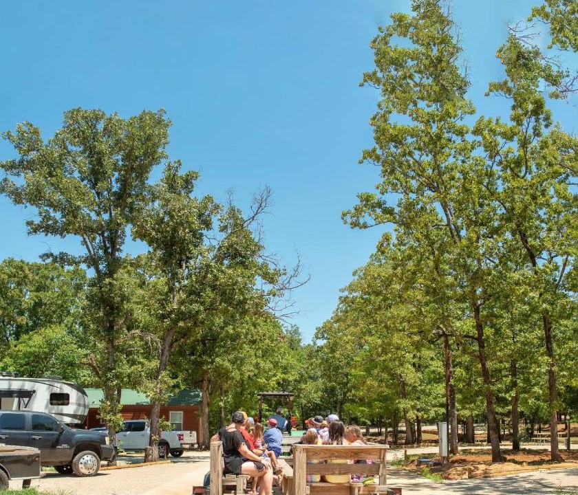 Photo of Outdoor in Smith County
