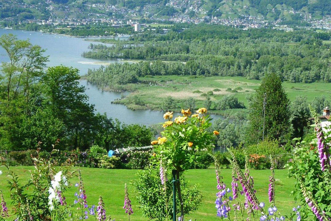 Photo of Outdoor in Magadino