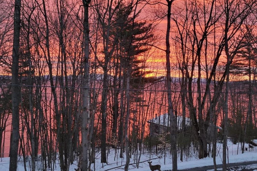 Photo of Others in Port Douglass