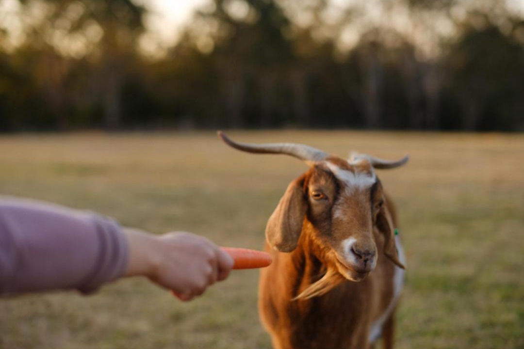 Photo of Others in Barrington