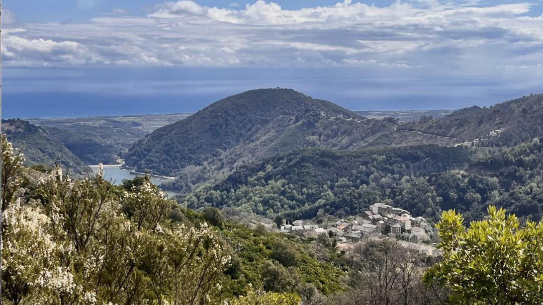 Photo of Others in Pietra-di-Verde