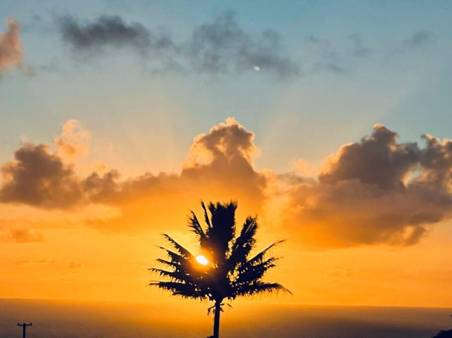 Photo of Outdoor in Hakalau