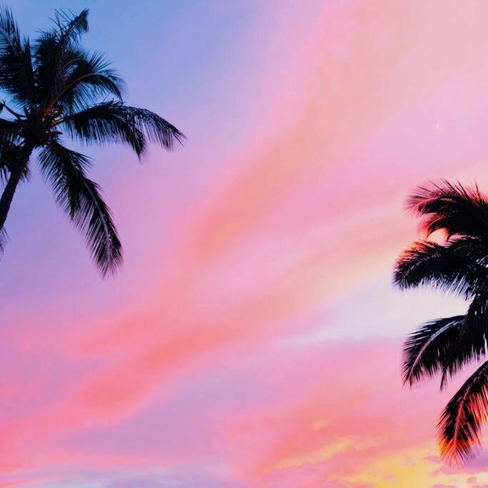 Photo of Outdoor in Hakalau