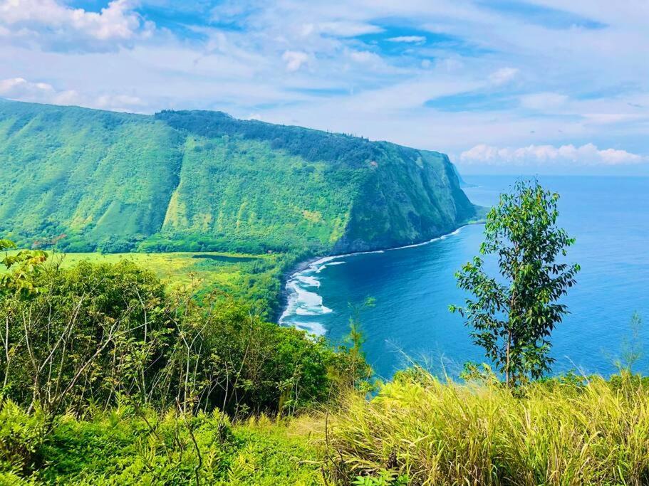 Photo of Outdoor in Hakalau