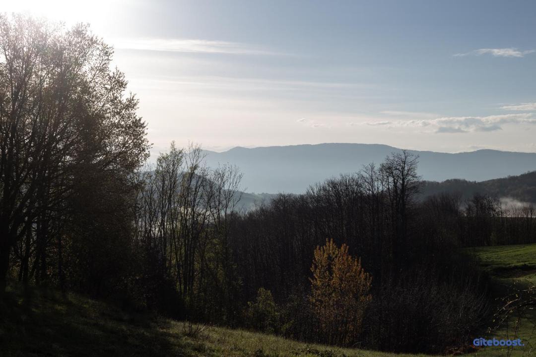 Photo of Others in Chasselay