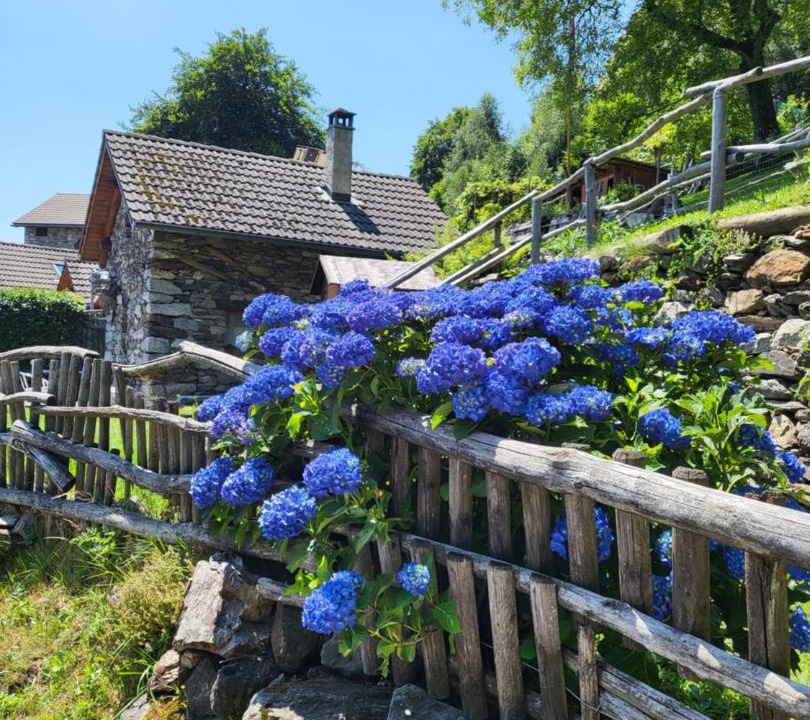 Photo of Others in Ronco sopra Ascona