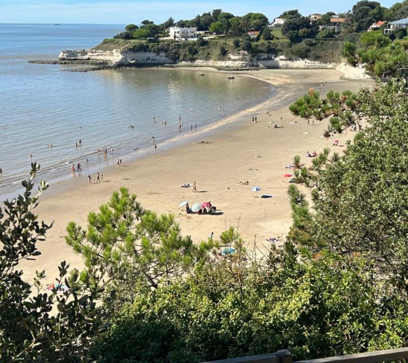 Photo of Others in Chenac-Saint-Seurin-d'Uzet