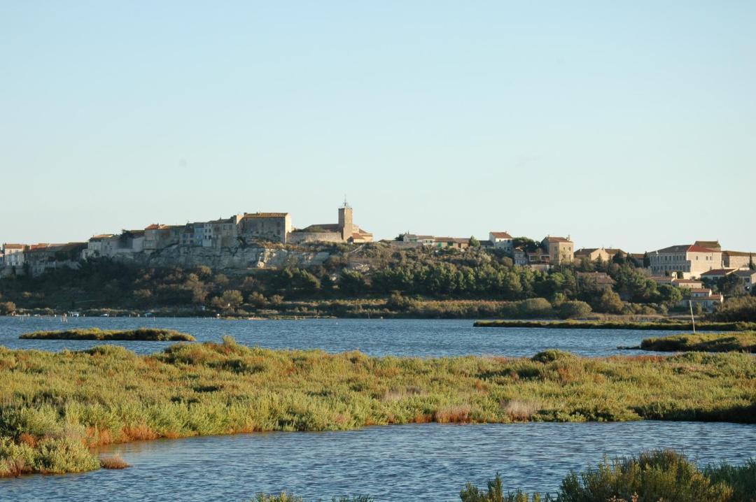 Photo of Others in Paraza