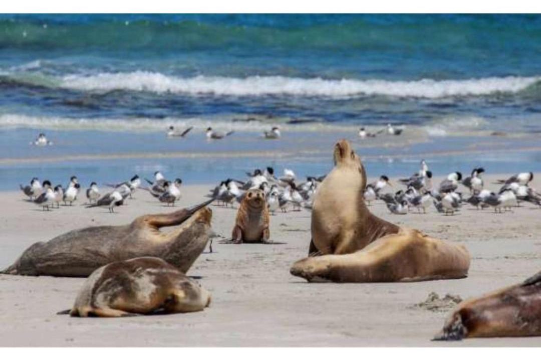 Photo of Others in McDonald