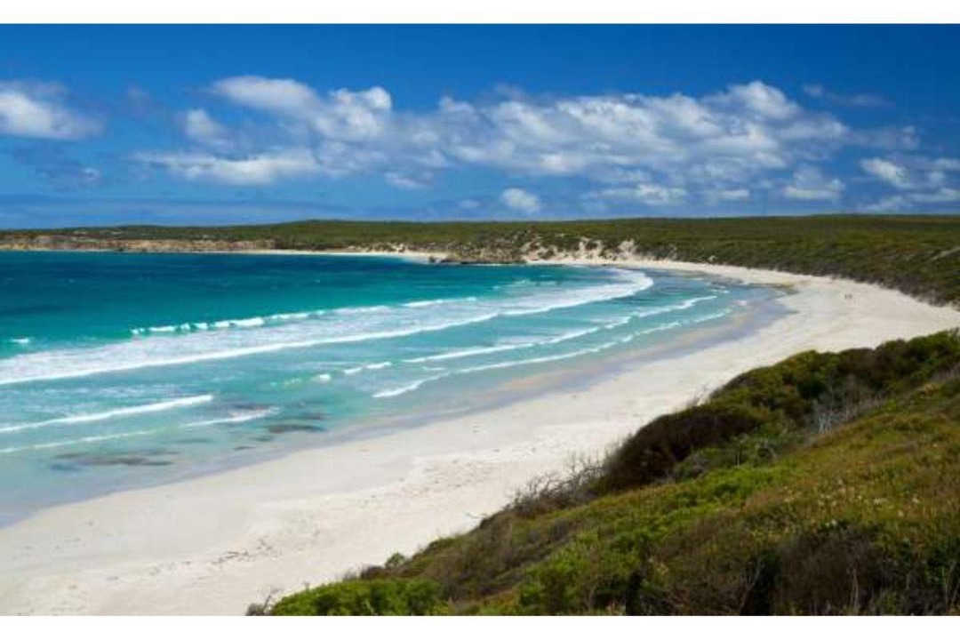 Photo of Others in McDonald