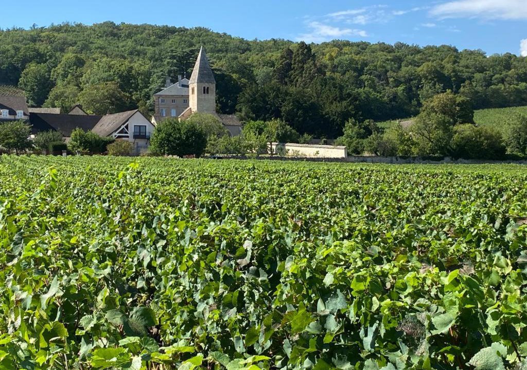 Photo of Outdoor in Givry