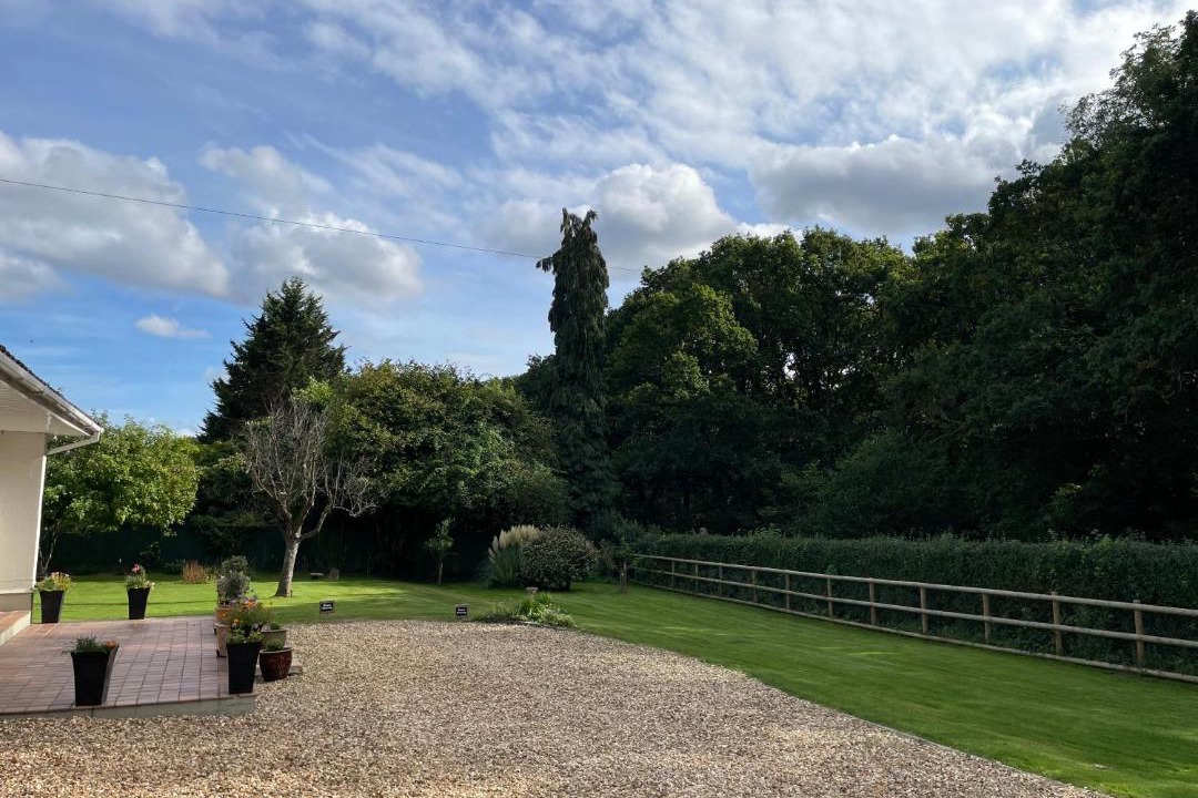 Photo of Others in Horton