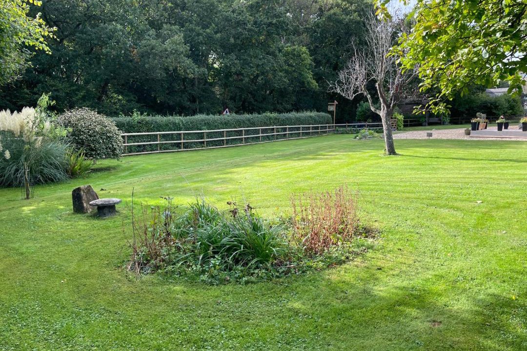 Photo of Others in Horton