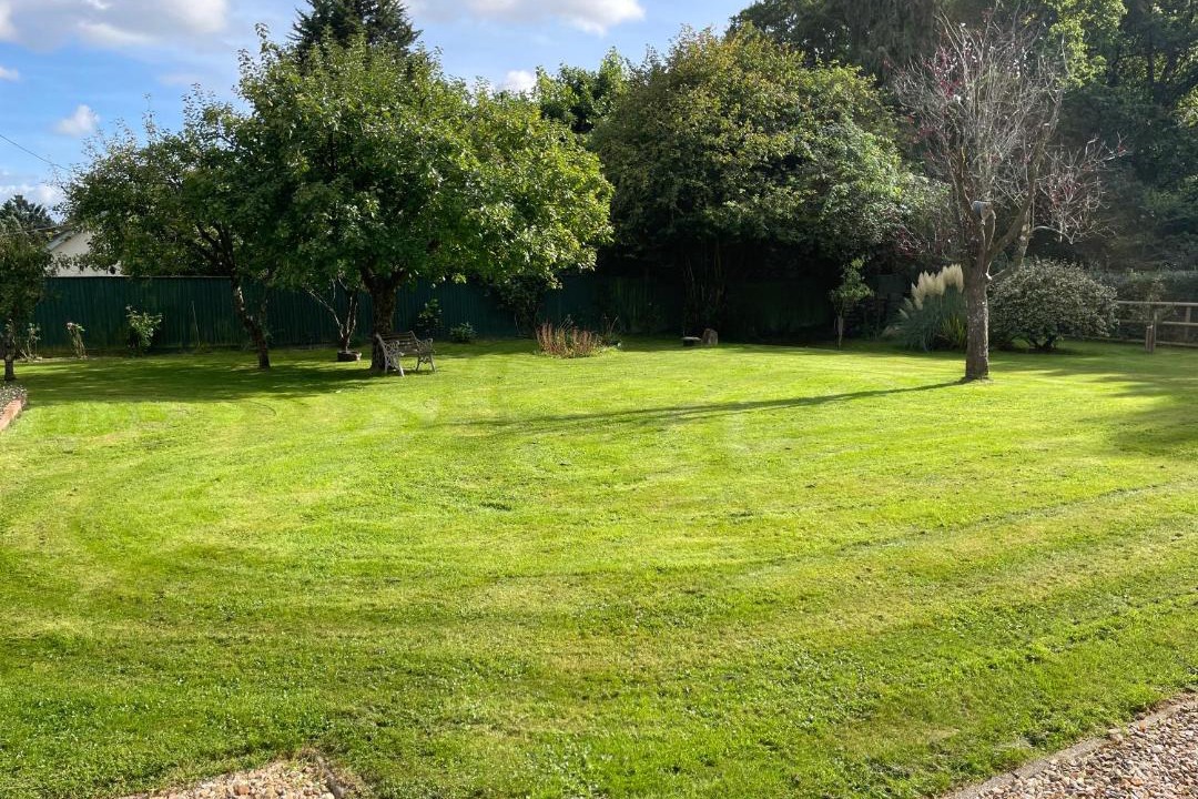 Photo of Others in Horton