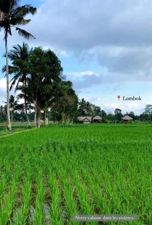 Photo of Others in Kotaraja
