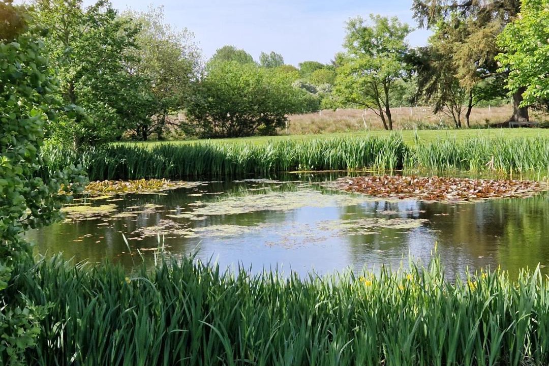 Photo of Others in Tjaereborg