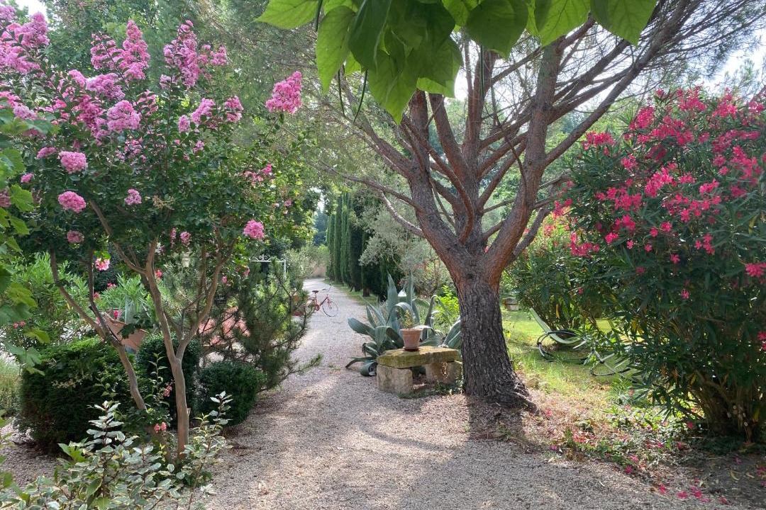 Photo of Others in Merindol