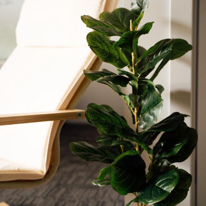 Photo of Livingroom in Curlewis