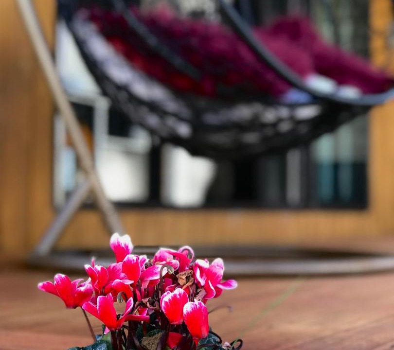 Photo of Others in Greenlane - Ellerslie