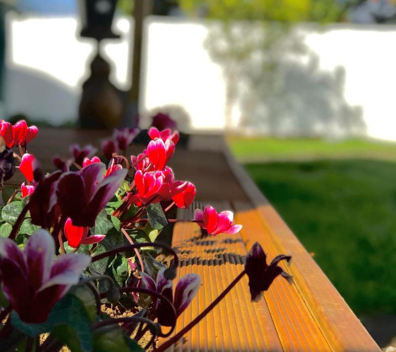 Photo of Others in Greenlane - Ellerslie