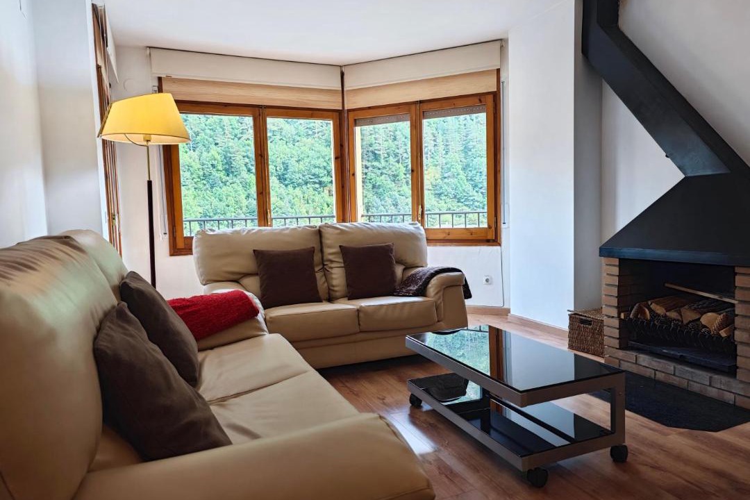 Photo of Livingroom in Camprodon