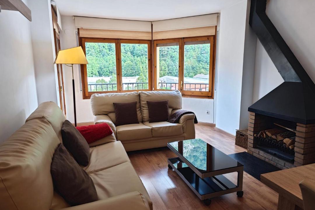 Photo of Livingroom in Camprodon