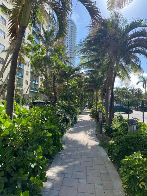 Photo of Others in Hallandale Beach