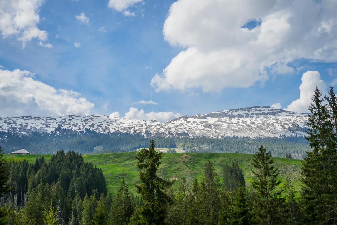 Photo of Others in Fluehli