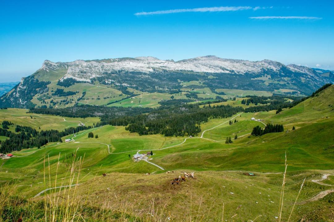 Photo of Others in Fluehli